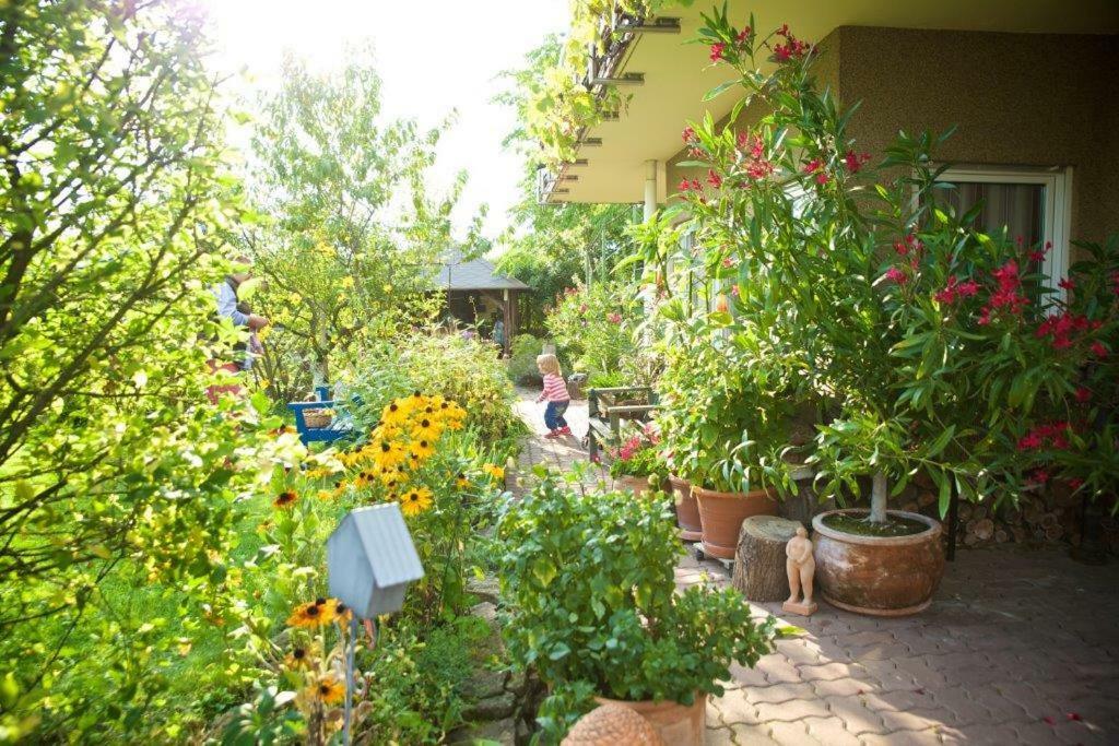 Ferienwohnung Dr. Vera Schmidt クライシャ エクステリア 写真