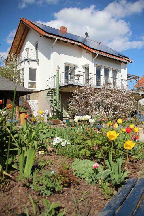 Ferienwohnung Dr. Vera Schmidt クライシャ エクステリア 写真